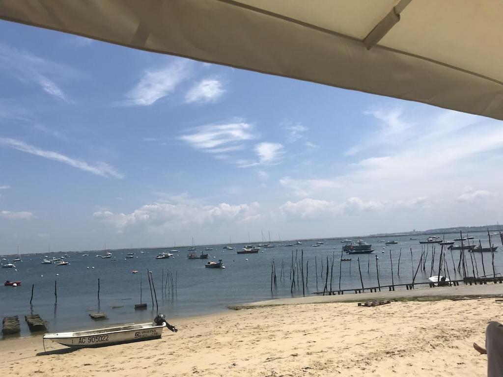 Ville Les Flots Bleus Proche Golf Arcachon La Teste-de-Buch Bagian luar foto